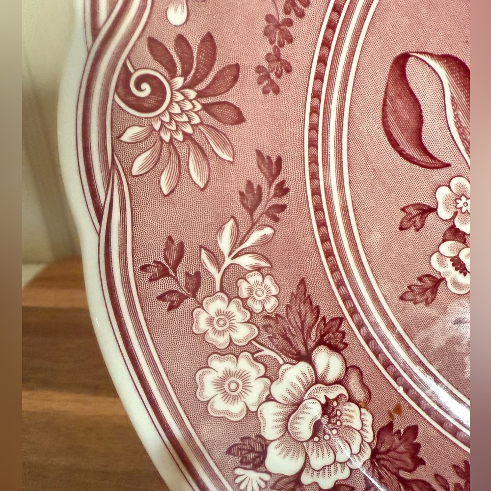 Spode Archive Collection, Georgian Series, 10.5”Collectable Plate, “Botanical" - Picture 5 of 7